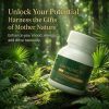 Saw Palmetto Extract with AKK Probiotics Supplement for Urinary Health Metabolism Support